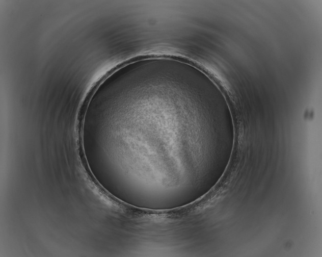 X0000090780990200708031711