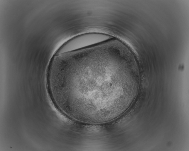 X0000090780991200708031711