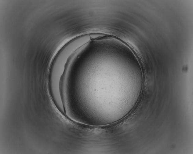 X0000090780992200708031711