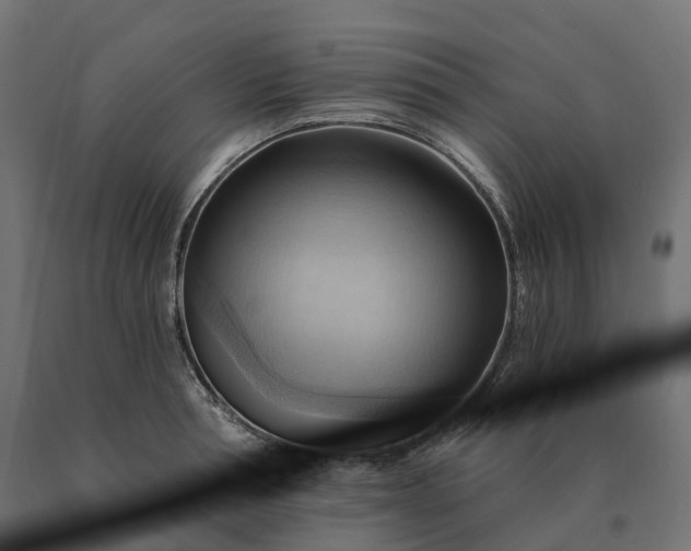 X0000090780994200708031711