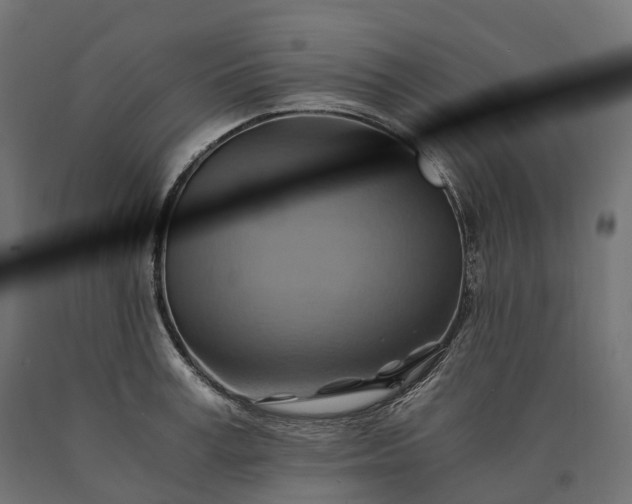 X0000090780995200708031711