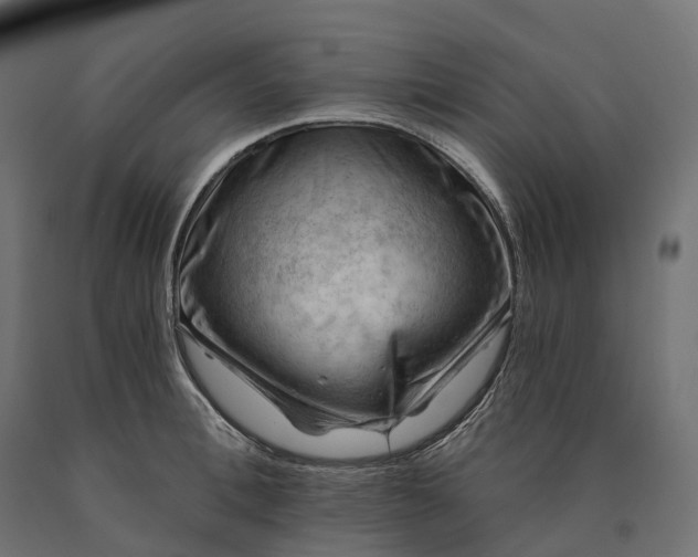 X0000090780996200708031711