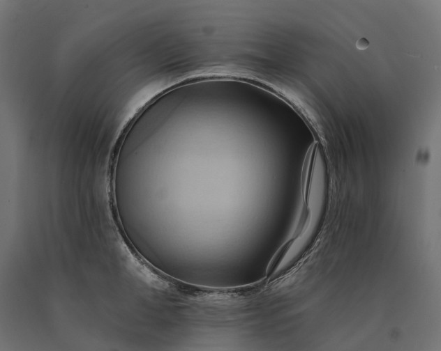X0000090780998200708031711