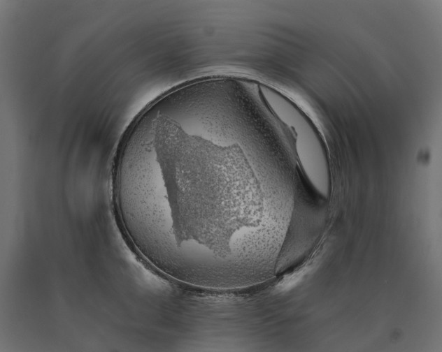 X0000090780999200708031711