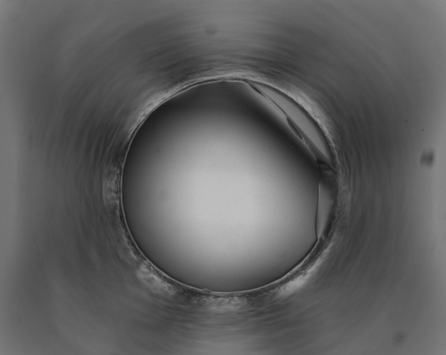 X0000090781001200708031711