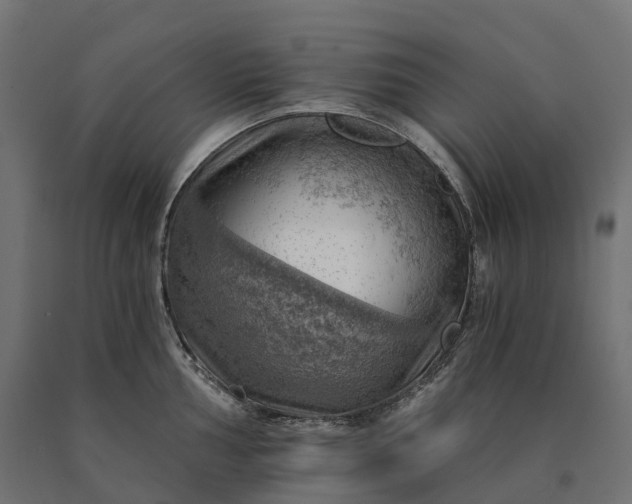 X0000090781002200708031711