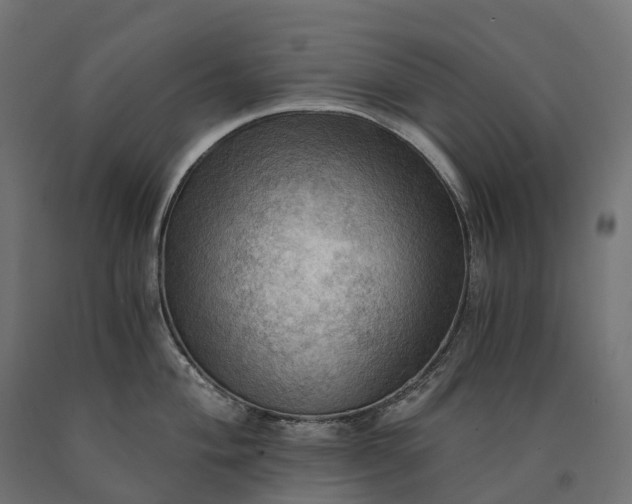 X0000090781004200708031711