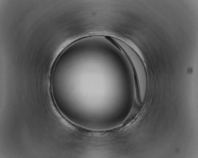X0000090781005200708031711