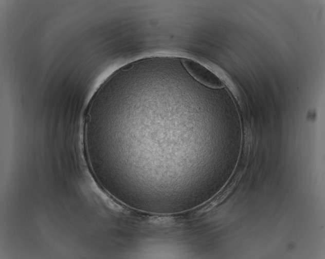 X0000090781006200708031711