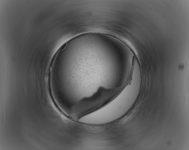 X0000090781007200708031711
