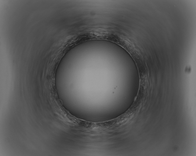 X0000090781009200708031710