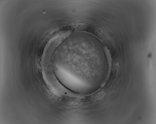 X0000090781010200708031710