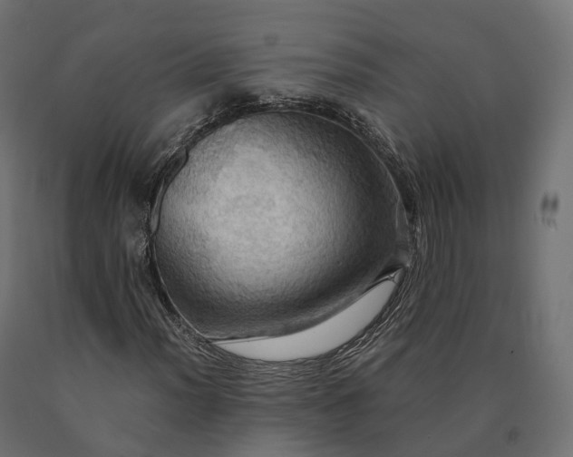 X0000090781012200708031710