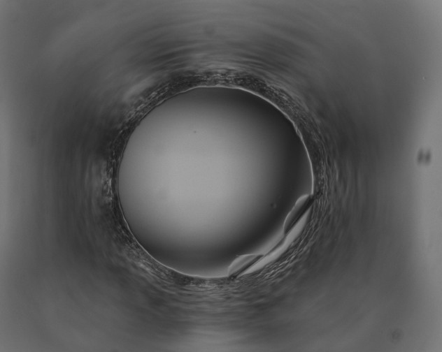 X0000090781013200708031710