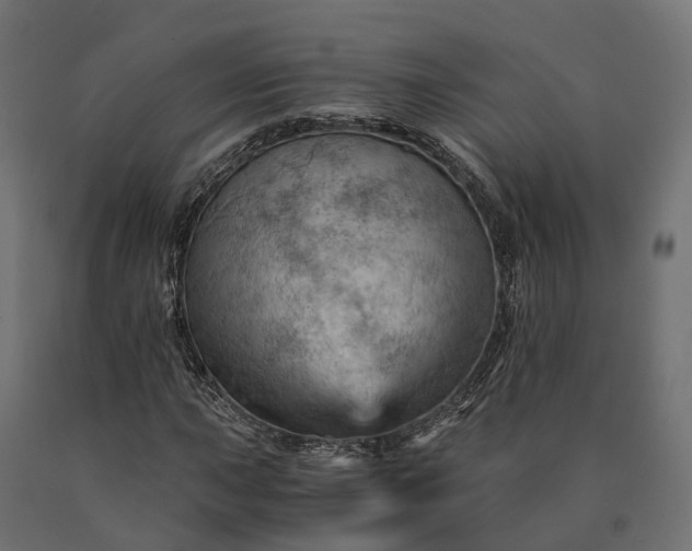 X0000090781015200708031710
