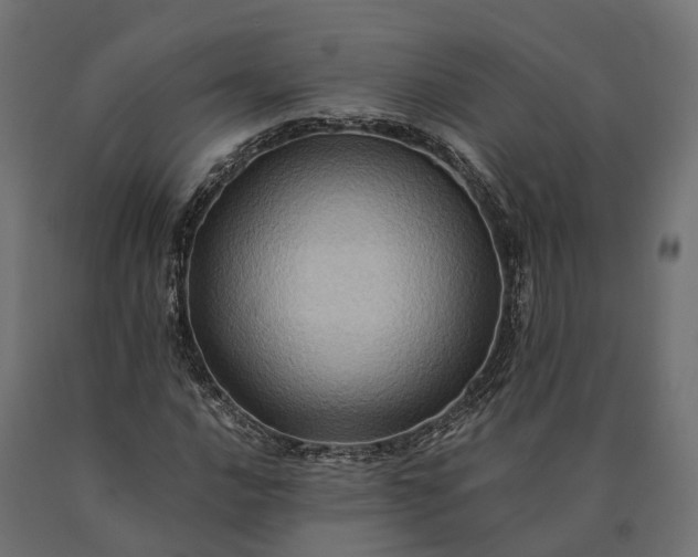 X0000090781016200708031710