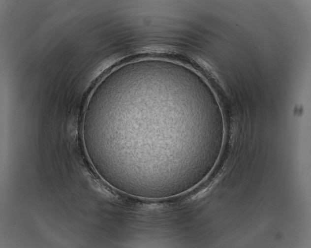X0000090781017200708031710