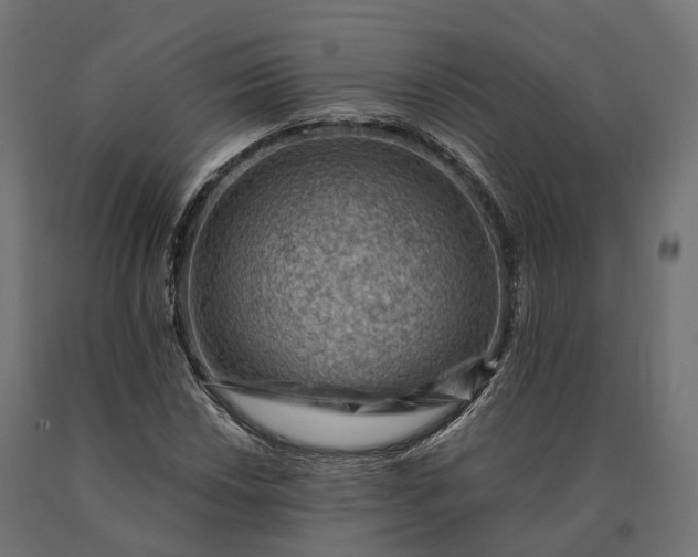 X0000090781018200708031710