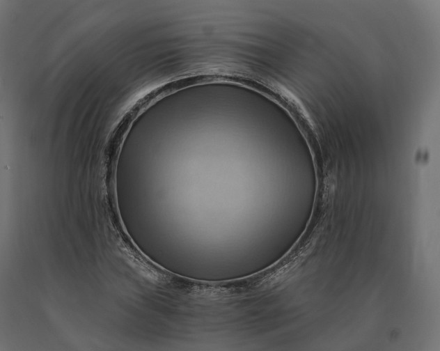 X0000090781019200708031710