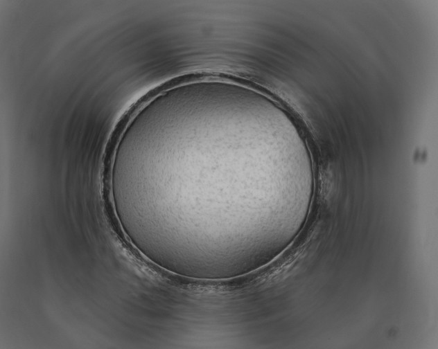 X0000090781020200708031710