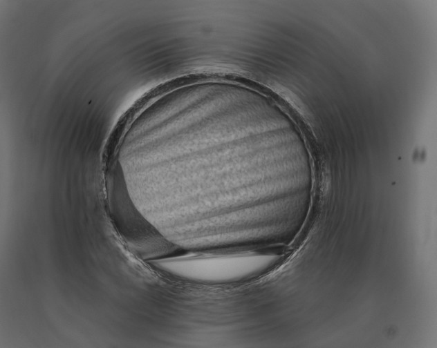 X0000090781022200708031710