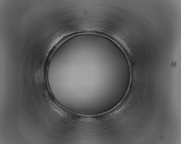 X0000090781023200708031710