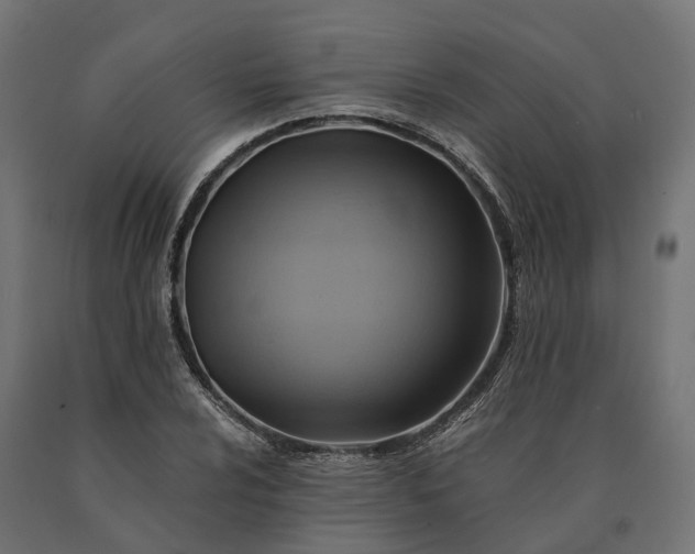 X0000090781024200708031710