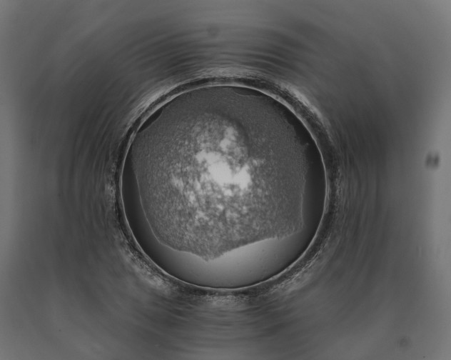 X0000090781025200708031710