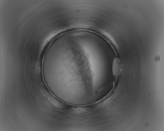 X0000090781027200708031710