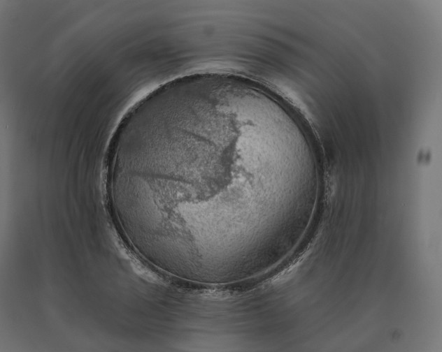 X0000090781029200708031710