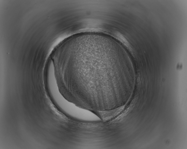 X0000090781030200708031710