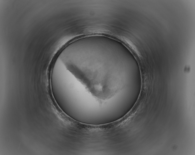 X0000090781031200708031710