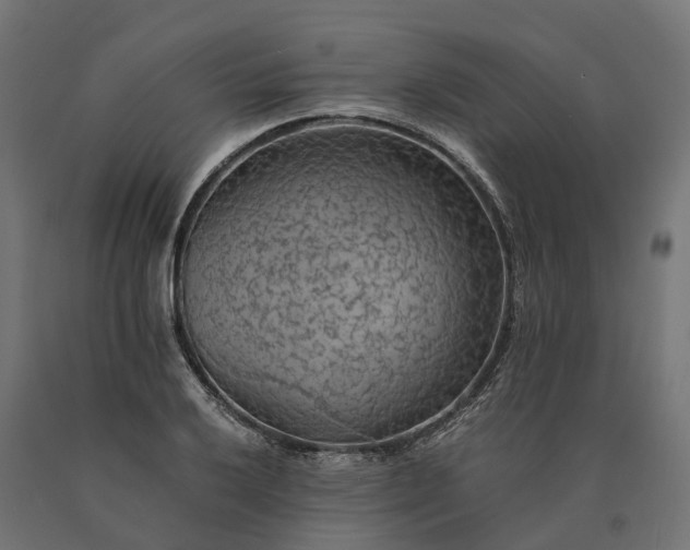 X0000090781032200708031710