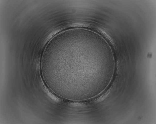 X0000090781033200708031710