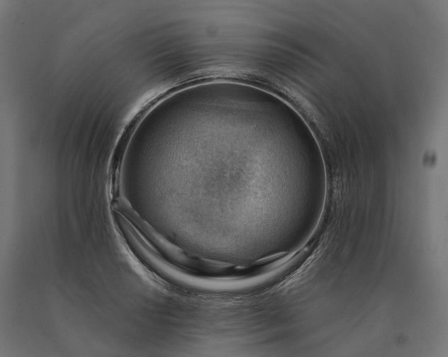 X0000090781034200708031710