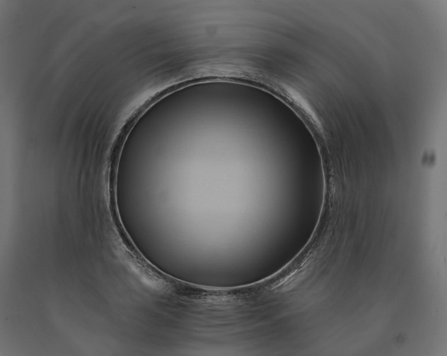 X0000090781035200708031710