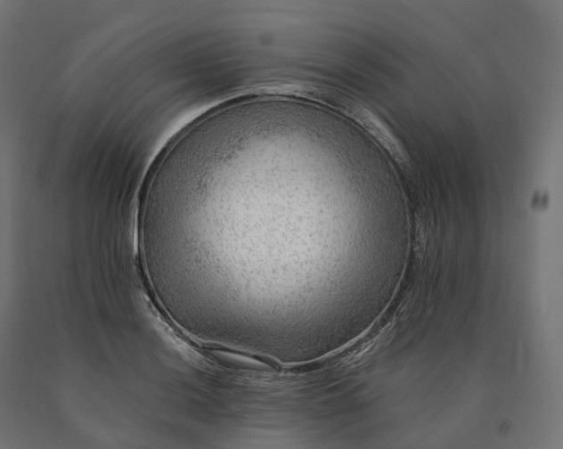 X0000090781036200708031710