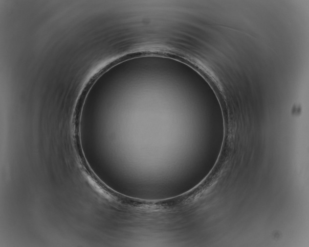 X0000090781037200708031710