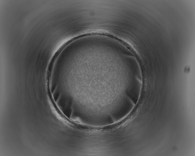 X0000090781038200708031710