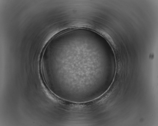 X0000090781039200708031710