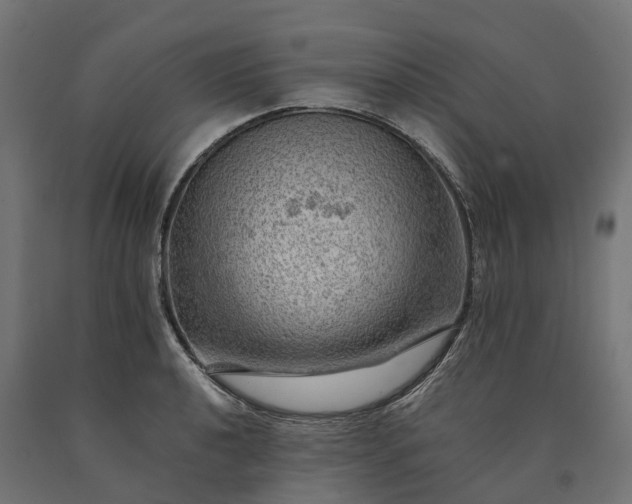 X0000090781040200708031710