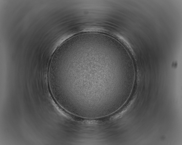 X0000090781041200708031710