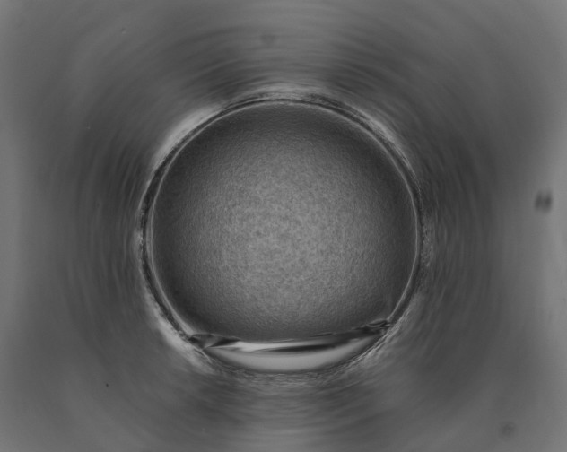 X0000090781042200708031710