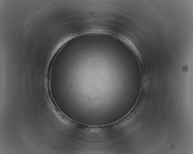 X0000090781043200708031710