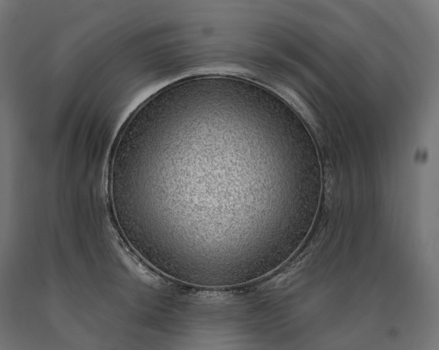 X0000090781044200708031710