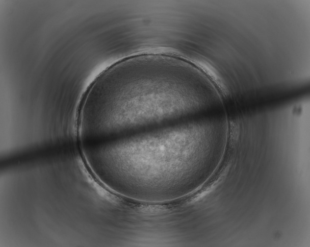 X0000090781046200708031710