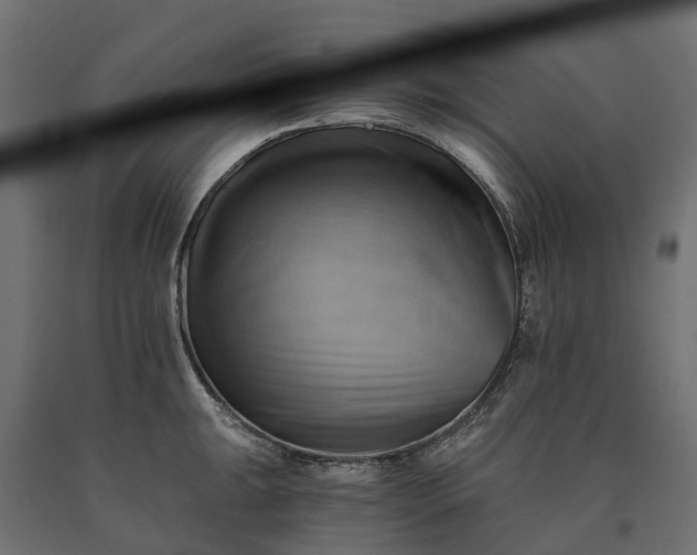 X0000090781047200708031710