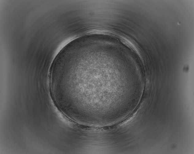 X0000090781050200708031710