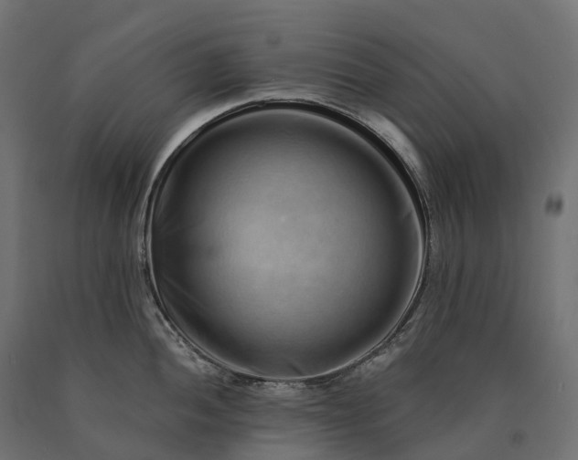 X0000090781052200708031711