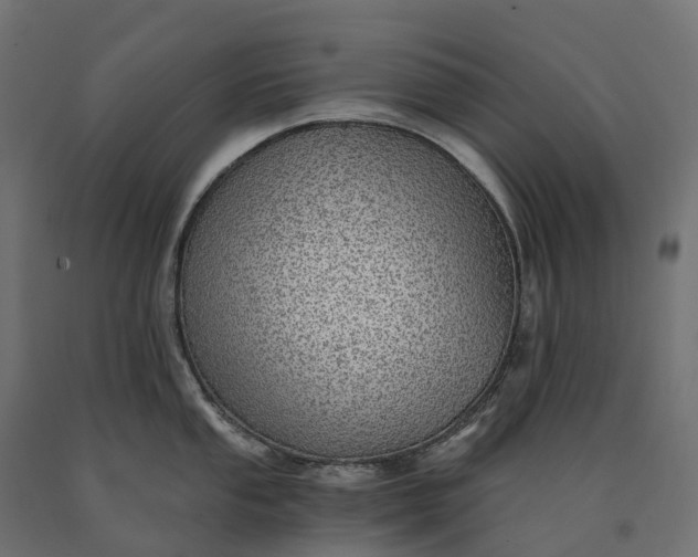 X0000090781053200708031711
